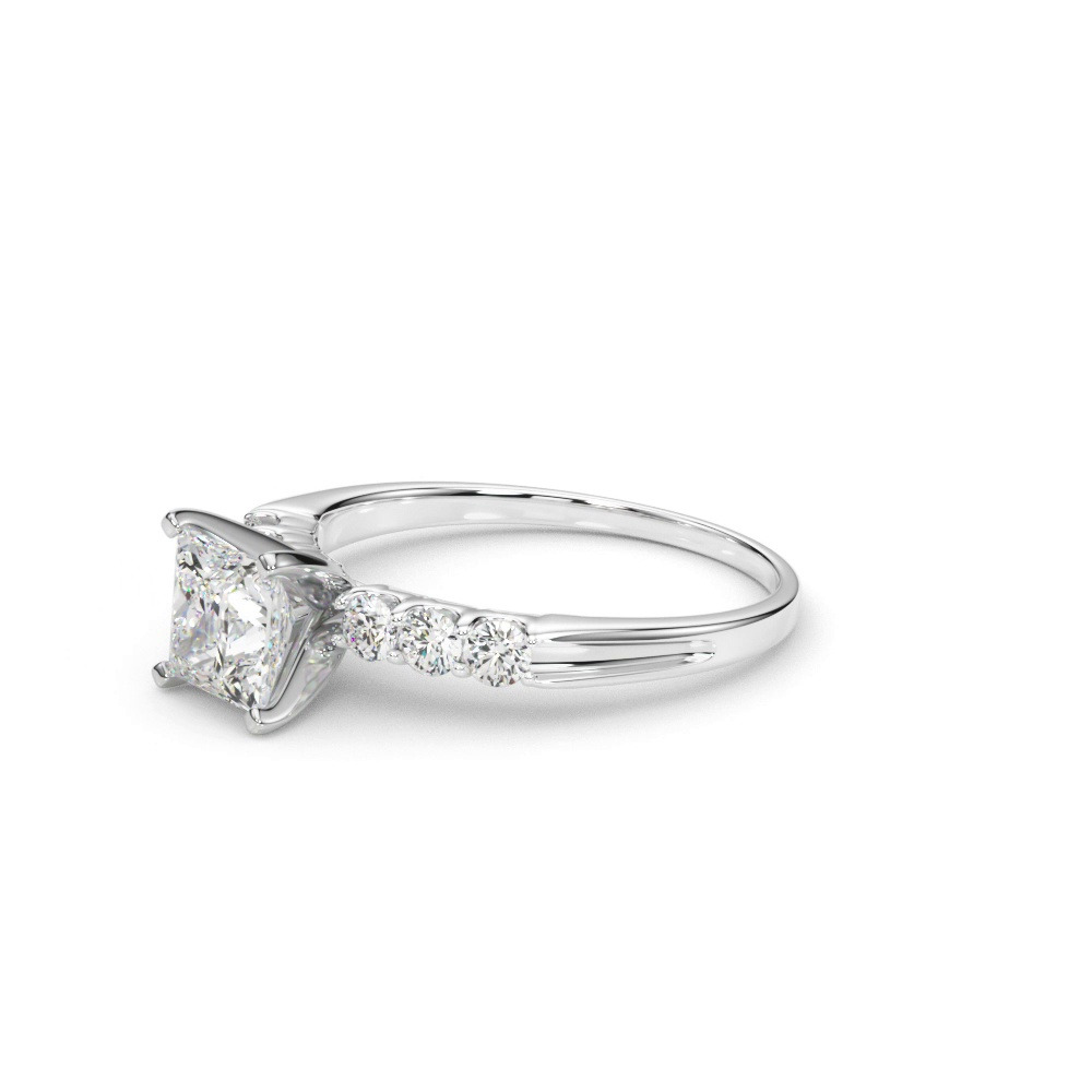 360 degree view of Jill Shared Prong Engagement Ring