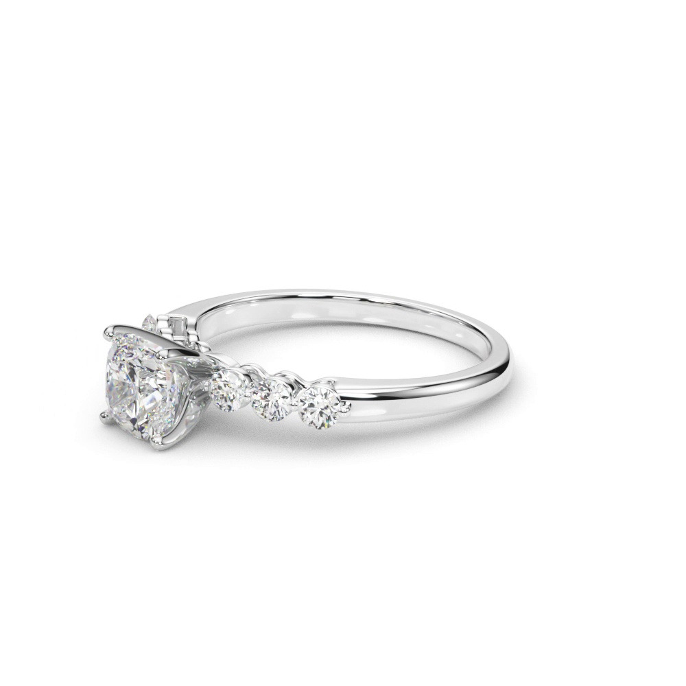 360 degree view of April Single Shared Prong Engagement Ring