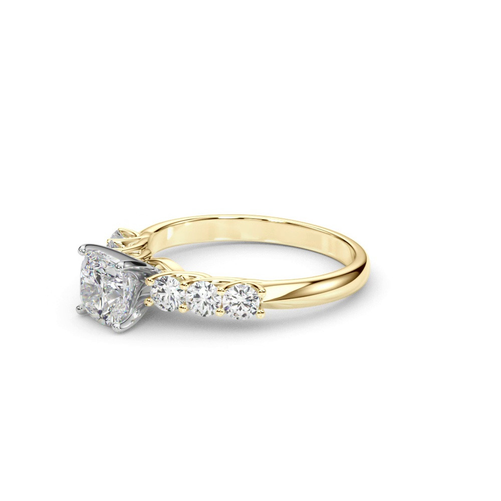 360 degree view of Monica Shared Prong Engagement Ring