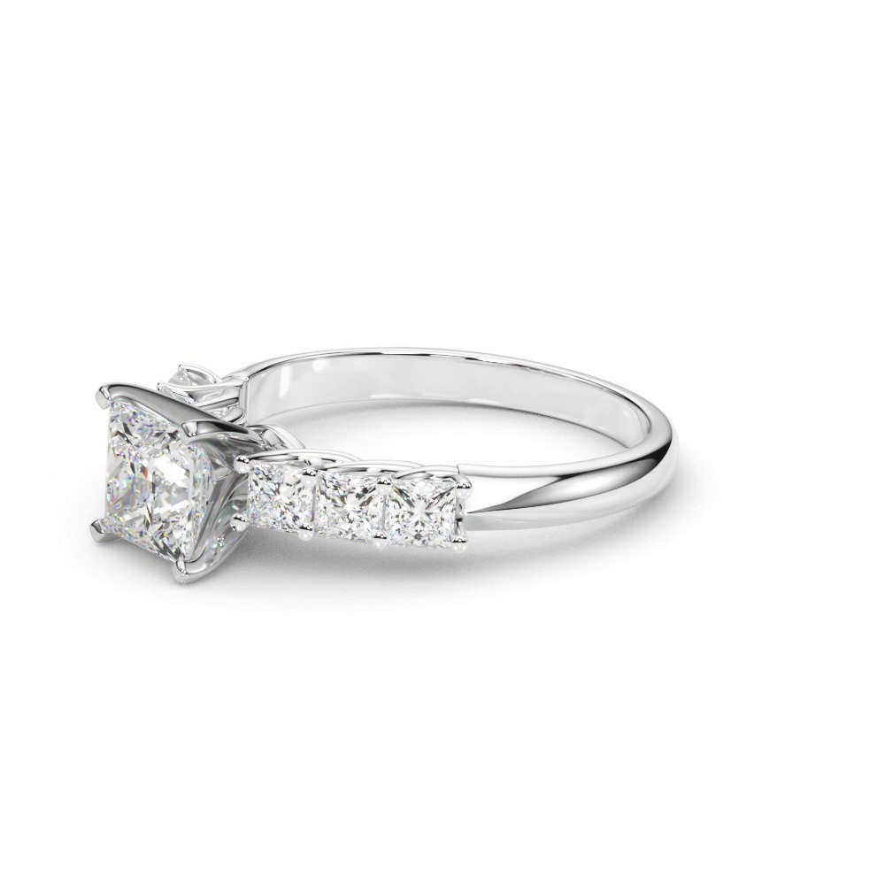 360 degree view of Evelynn Shared Prong Princess Cut Diamond Engagement Ring