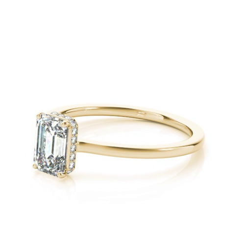360 degree view of Dionne Hidden Halo Engagement Ring