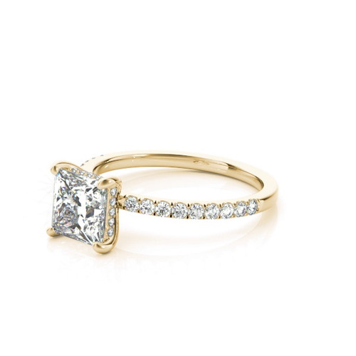 360 degree view of Arya Hidden Halo Engagement Ring