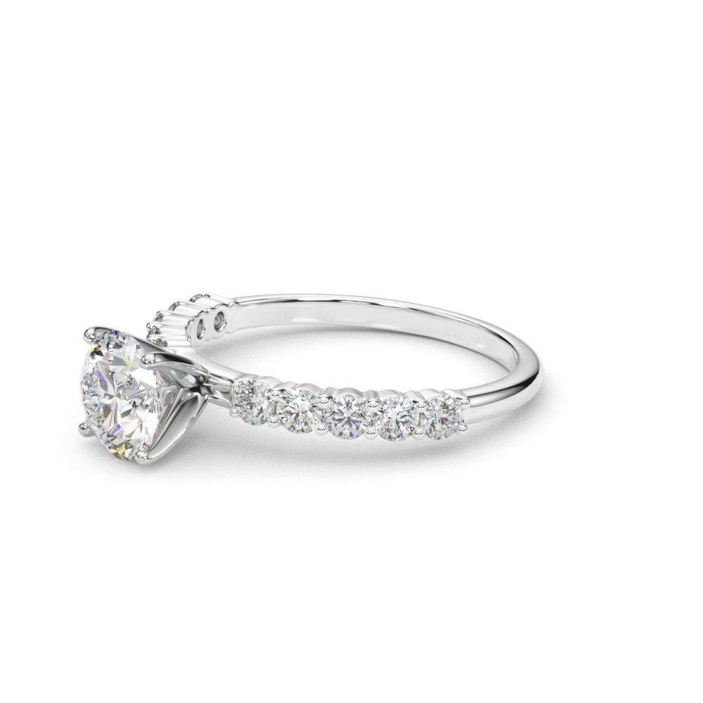 360 degree view of Heires Shared Prong Diamond Engagement Ring