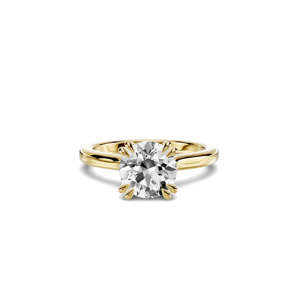 360 degree view of Lucca Double Prong Cathedral Engagement Ring