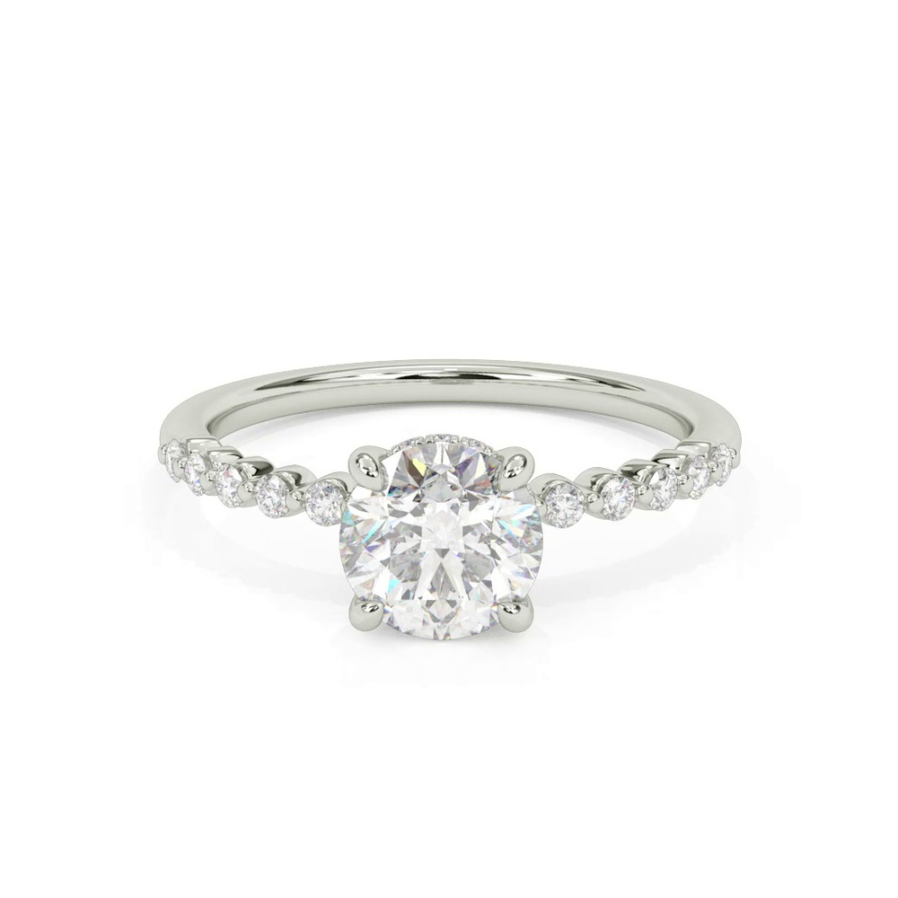 360 degree view of Bliss Petite Shared Prong Diamond Engagement Ring
