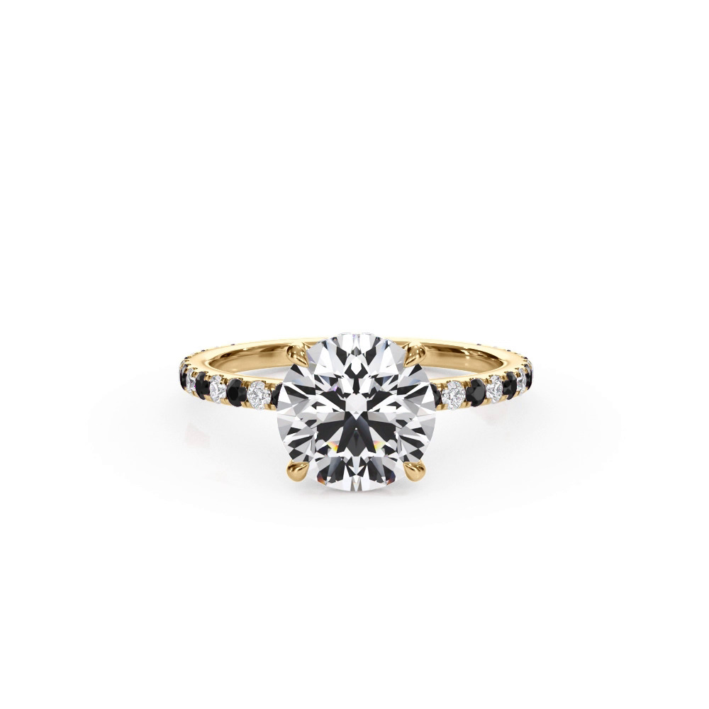 360 degree view of Bellora Black & White Diamond Hidden Halo Engagement Ring (1.6mm)