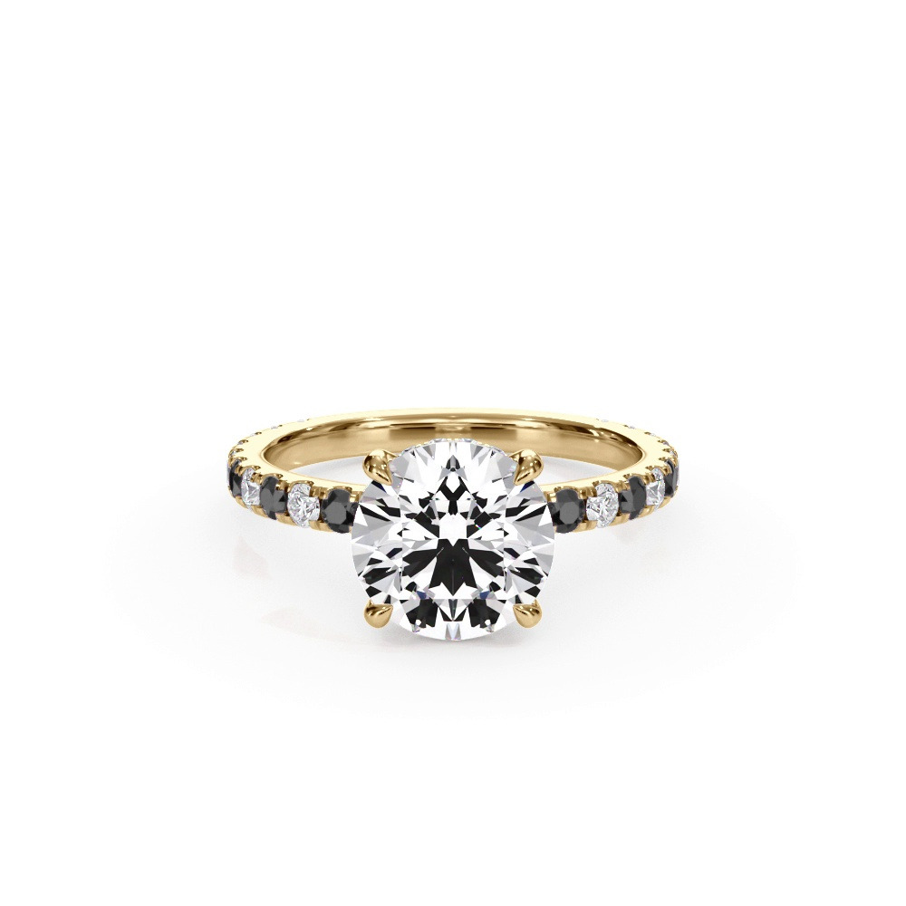 360 degree view of Bellora Black & White Diamond Hidden Halo Engagement Ring (2mm)