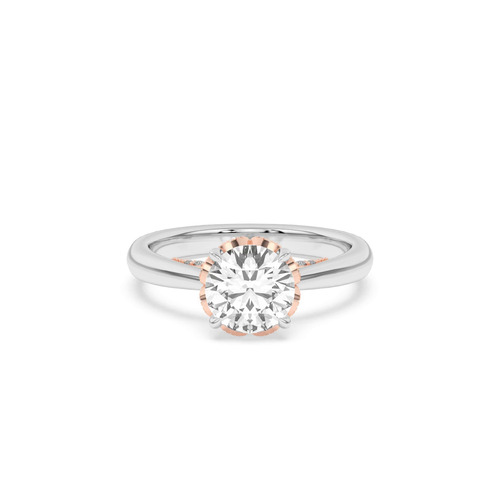 Spinshot image