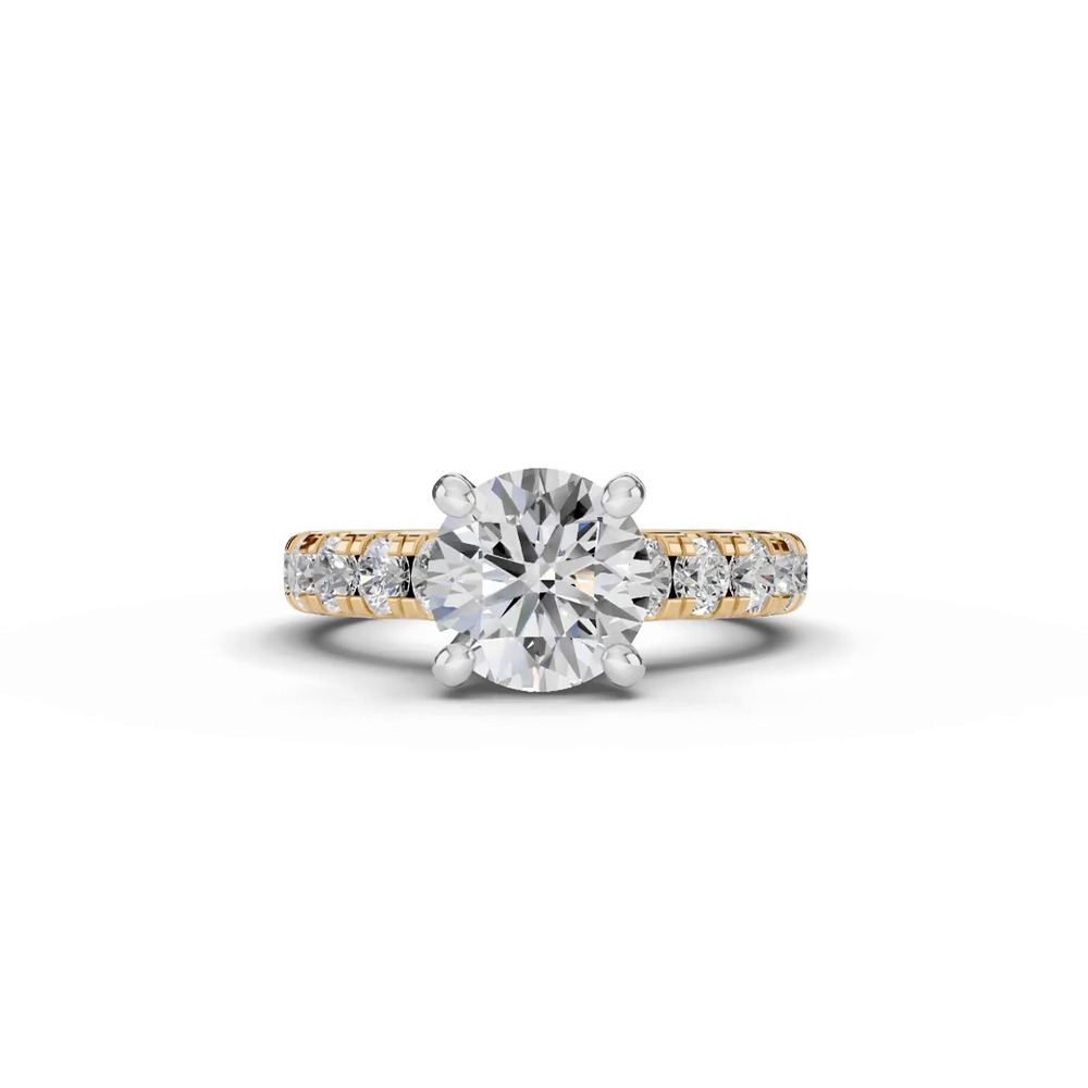 360 degree view of Signature Hearts & Arrows Classic Hidden Halo Cathedral Lab Engagement Ring (1.00ct. tw.)