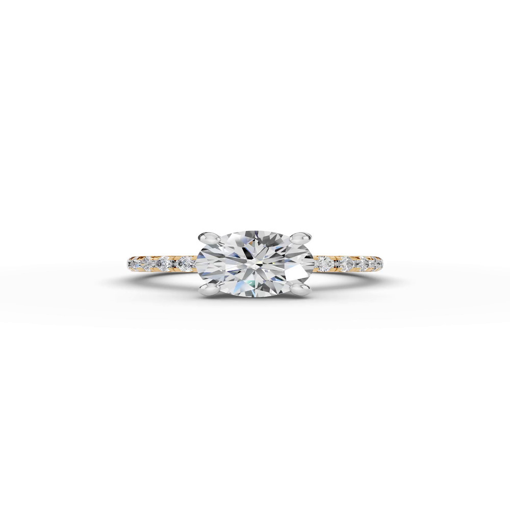 360 degree view of Tradition Pavé Lab Euroshank Hidden Halo Engagement Ring (½ ct. tw.)