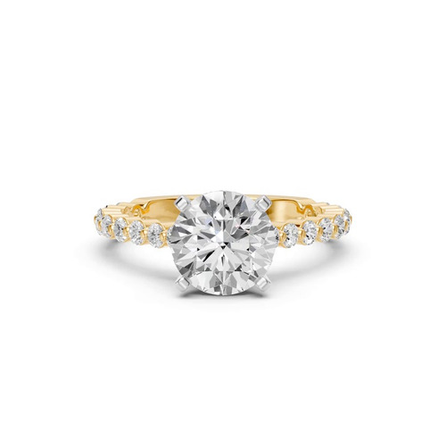 360 degree view of Signature Hearts & Arrows Shared Prong Hidden Halo Cathedral Engagement Ring (.60ct. tw.)