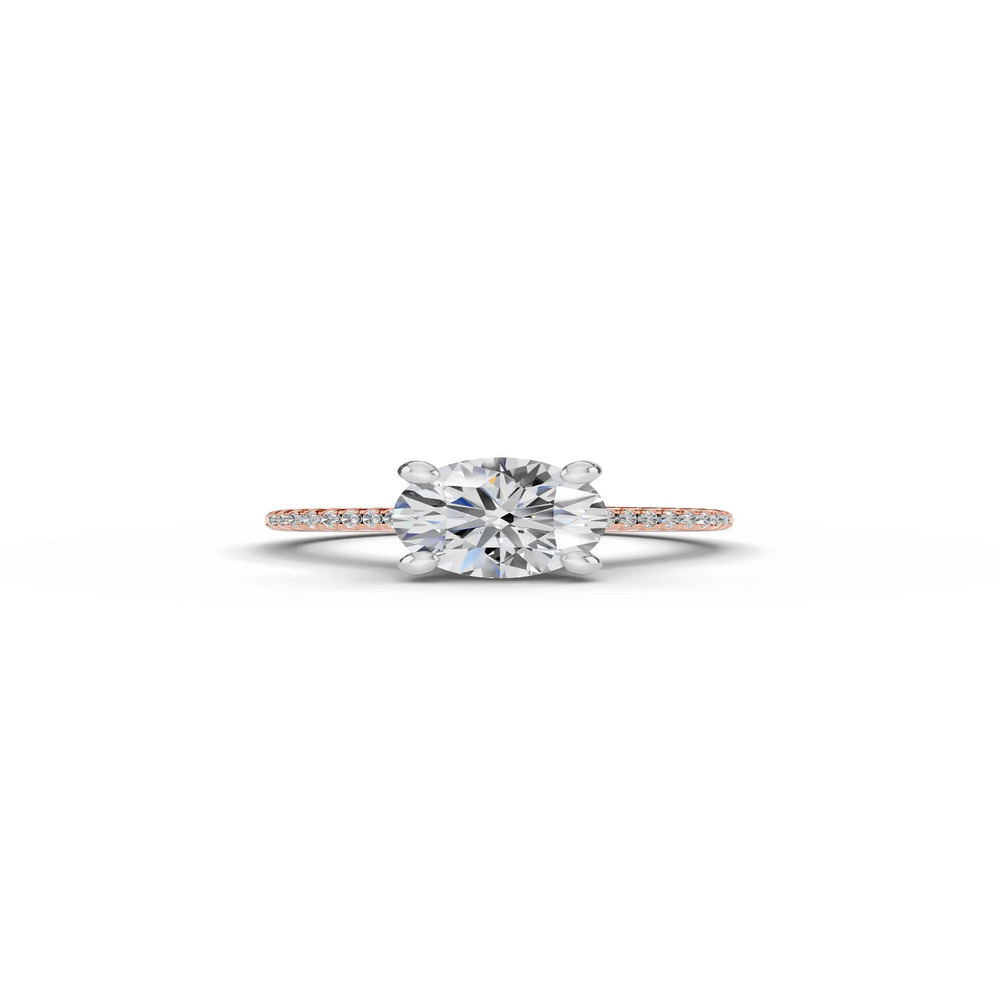360 degree view of Signature Hearts & Arrows Classic Hidden Halo Cathedral Engagement Ring (1/4ct. tw.)
