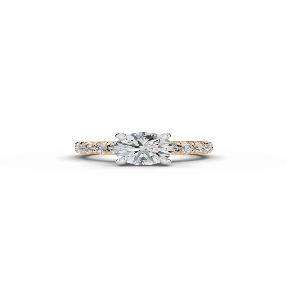 360 degree view of Signature Hearts & Arrows Classic Hidden Halo Cathedral Engagement Ring (1.00ct. tw.)