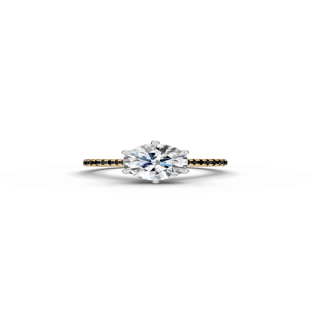 360 degree view of Tradition Cathedral Black Diamond Two-Tone Engagement Ring (0.20 ct. tw.)