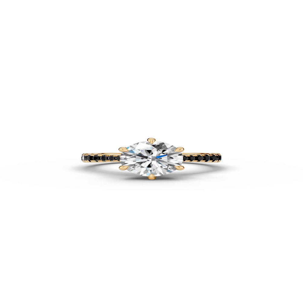 360 degree view of Tradition Cathedral Black Diamond Engagement Ring (0.35 ct. tw.)