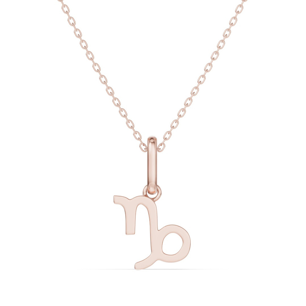 360 degree view of Capricorn Zodiac Glyph Necklace