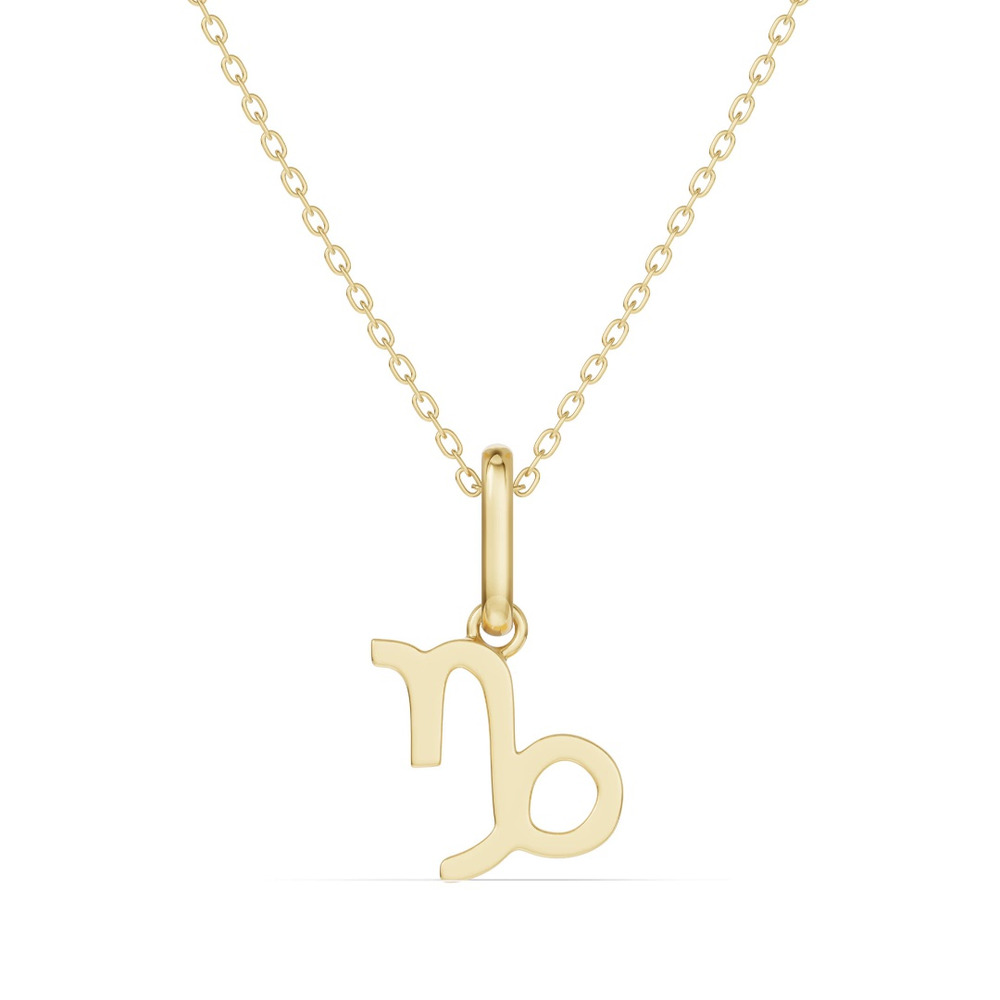 360 degree view of Capricorn Zodiac Glyph Necklace