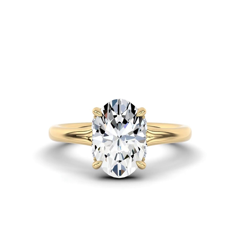 360 degree view of Marcelle Lab Diamond Accent Hidden Halo Engagement Ring